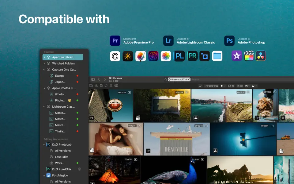 Peakto 2.6.3 AI Media Organizer for MacOS