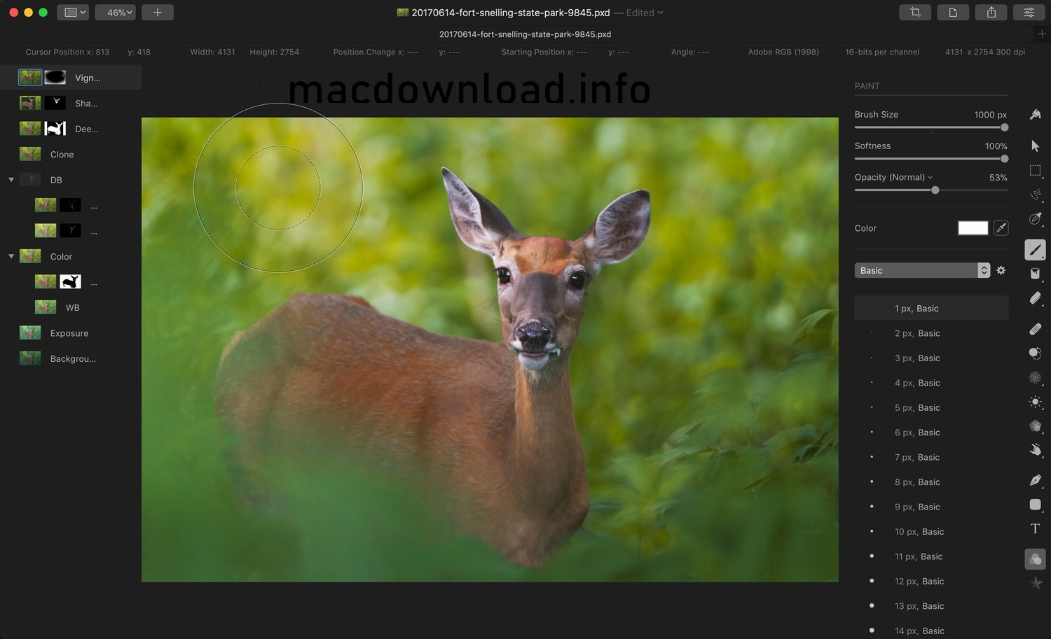 Pixelmator Pro 4.0 fix for MacOS download