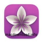 Vellum 4.0.3 for MacOS